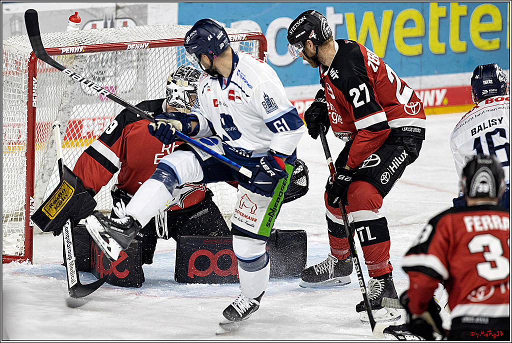 PENNY DEL;  Koelner Haie - Straubing Tigers; Koeln, 15.10.2021